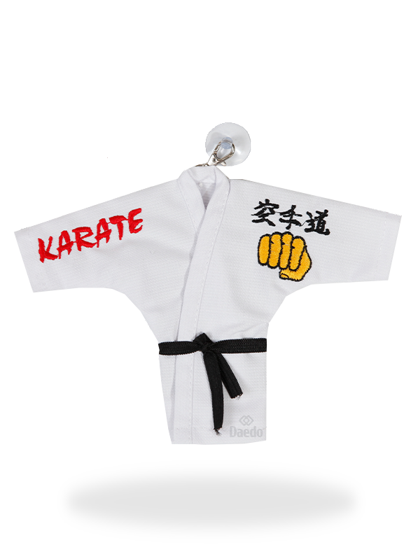 Karate training photo