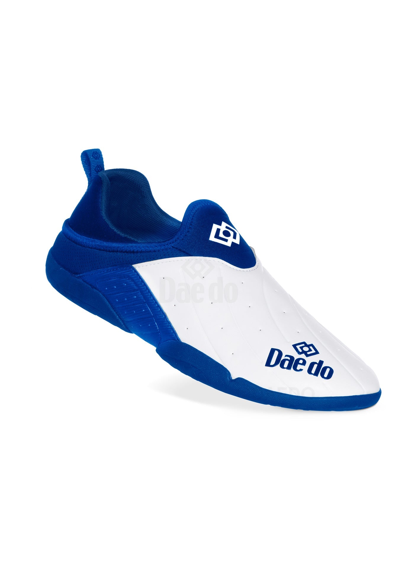 "ACTION" BLUE SHOES Daedo