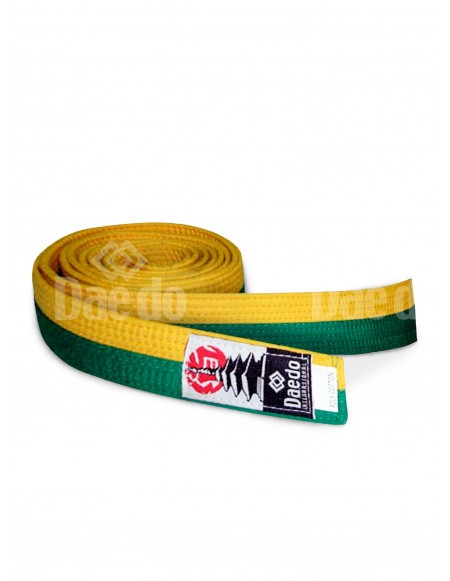 CI 15212 - 285 Belt - Yellow / Green