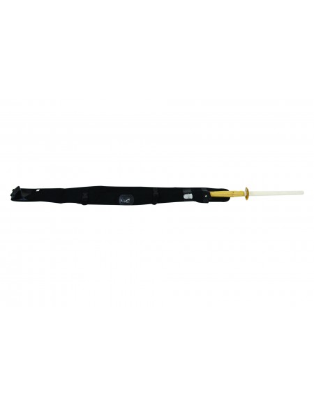 AR 1247 -  Case of Shinai