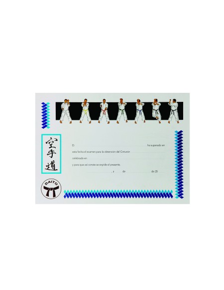 VA 1113 - Diploma Karate