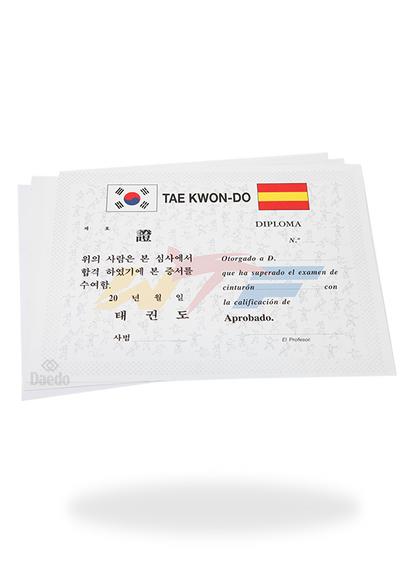 DIPLOMA TAEKWONDO