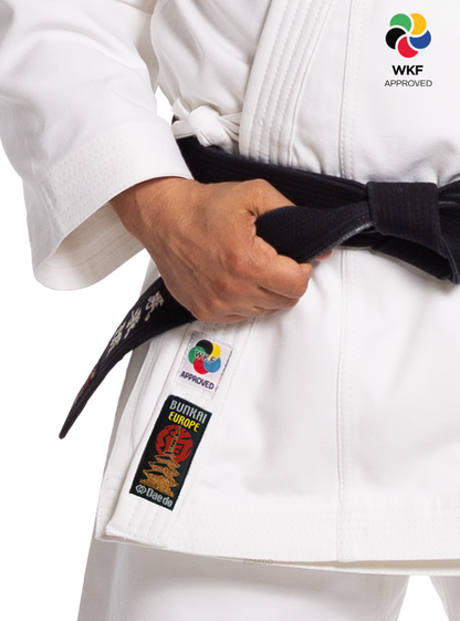 KARATEGI "BUNKAI EUROPE"
