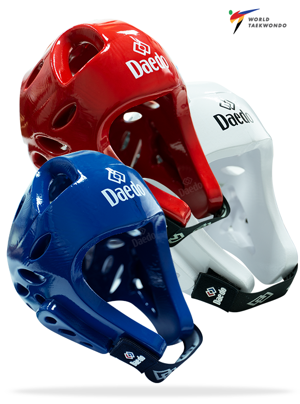 WT TRUNK & HEAD GEAR PROTECTION – Daedo