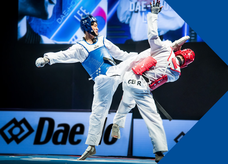 Daedo Protezione da braccio ufficiale Taekwondo Karate Kick Boxing Arti Marciali 